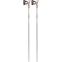 LEKI - Passion - Bastones para marcha nórdica size 100 cm, smokegreen /gris