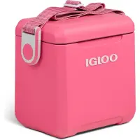 Igloo - Tag-A-Long Too 11 - Nevera size 10 l, fucsia