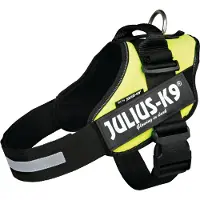 Julius-K9 IDC Power Arnés - L - Neón