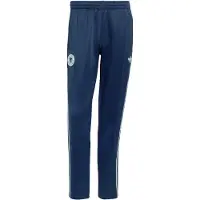Adidas Pantalón deportivo 'DFB' azul oscuro / menta