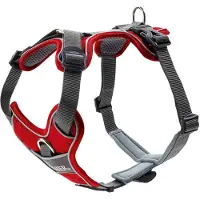 Hunter - Harness Divo - Arnés para perro size Hals 19-32 cm, Bauch 34-47 cm - Breite 1,5 cm, rojo/gris