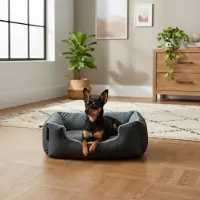 Belviona Cama para perros con cojín reversible y suave, fácil de limpiar y antideslizante, un lugar cómodo para dormir, 50x37 cm, color negro/gris