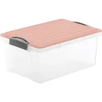 Rotho - Caja de almacenamiento ECO COMPACT de 13 litros - color cappuccino
