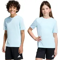Adidas Camiseta funcional 'Entrada26' azul claro / blanco