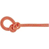Mammut - 8.7 Crag Sender Dry Rope - Cuerda simple size 70 m, fucsia