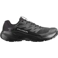 Salomon - Women's Alphaglide GORE-TEX - Zapatillas de trail running size 44, gris