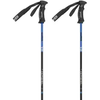 Gabel Bastones R Carbon Pro