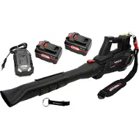 Parkside PERFORMANCE Soplador de hojas a batería de 40 V / Modelo: PPTLBA 40 / Incluye 2 baterías (4 Ah) y un cargador (4,5 A)
