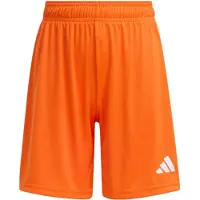 Adidas Pantalón deportivo 'ENT26' naranja / blanco