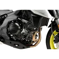 Puig Protector De Motor R19 Cfmoto 650 Nk 2025