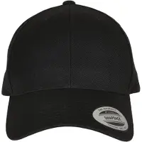 Flexfit Gorra negro / blanco