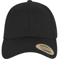 Flexfit Gorra Low Profile With Elastic Snip