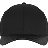 Flexfit Gorra 'Carbon' negro