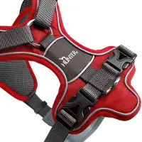Hunter - Harness Divo - Arnés para perro size Hals 22-38 cm, Bauch 45-56 cm - Breite 1,5 cm, rojo/gris