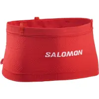 Salomon - Women's Wayfarer 2.0 Pants - Pantalones de trekking size XL - Long, marrón