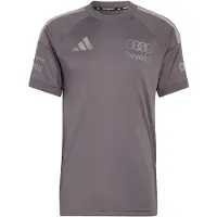 Adidas Camiseta funcional 'Audi Formula One Team Driver' gris / color barro