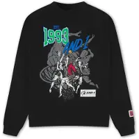 AND1 Sudadera '1993 Dunk' gris / verde / negro