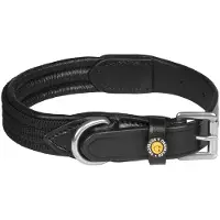 Equestro Collar Para Perro Web