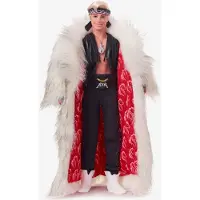 Barbie Ken
