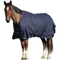 Equithème Classic 1200D, manta para exteriores de 200 gramos, color azul marino, talla 145