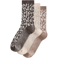 Next Calcetines crema / camelo / chocolate / blanco