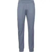 Stoic - MerinoTerry250 BaraSt. Pants - Pantalones de deporte size L, gris