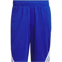 Adidas adidasPantalón corto Basketball Legends 3 bandas 2XL 18 CM Royal Blue / White Hombre