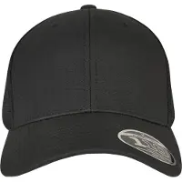Flexfit Gorra negro