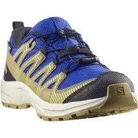 Salomon Zapatillas De Trail Running Xa Pro V8 Wp
