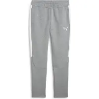 Puma Pantalón deportivo 'teamEvostripe' gris / blanco