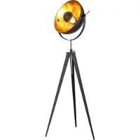 Nowa Lámpara de pie , estructura de metal , detalles de metal dorado, dimensiones: 560 x 1518 mm, longitud del cable: 1800 mm, excluye 1 bombilla E27 de 40W y 230V