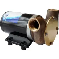 Jabsco Bomba de aire para ruedas Puppy 2000, 24V, con una capacidad de 30 litros por minuto