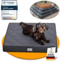 OEM Cama ortopédica para perros, impermeable y antideslizante, de 70x60x8 cm