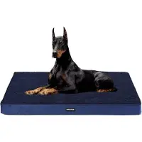 OEM Cama ortopédica para perros, 10 cm de grosor, color azul marino