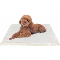 OEM Cama pequeña para perros, 61x45 cm, lavable, antideslizante, color beige