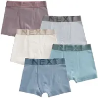 Next Calzoncillo turquesa / azul paloma / gris claro / malva / offwhite