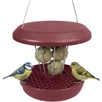 Unyqoos Comedero colgante para pájaros con plato de recogida – resistente a ratas, para hasta 7 bolas de comida para pájaros, color burdeos, fabricado en plástico ASA