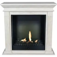 Xaralyn , chimenea de etanol - Cadiz BCL-SWP - piedra natural blanca pulida - potencia de calefacción de 3 kW - incluye repisa y chimenea de encastre - chimenea decorativa