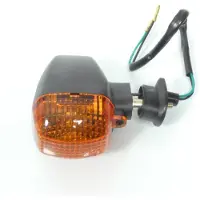 Vicma Intermitente Rear Left 1058167