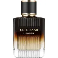 Elie Saab L'Homme Intense, eau de parfum, para hombre, 100 ml