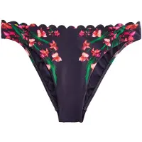 Ted Baker Braga de bikini navy / pino / fucsia / rosa