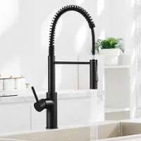 OEM Grifo de cocina , giratorio 360°, con 2 tipos de chorro de agua, y muelle espiral