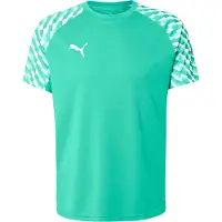 Puma Camiseta funcional 'teamLIGA26' esmeralda / blanco