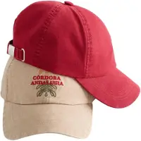 Next Gorra beige / rojo