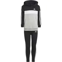 Adidas Chándal Tiberio 3 Stripes Colorblock Fleece