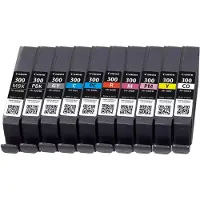 Canon Cartucho De Tinta Pfi-300 10