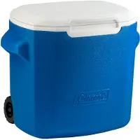 Coleman Nevera Portátil Rígida Performance 26l