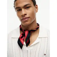 Tommy Hilfiger Chal azul / navy / rojo