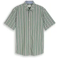 Tom Tailor Camisa verde / blanco