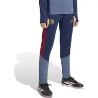 Adidas Pantalón deportivo 'FC Bayern München 26/27' navy / zafiro / rojo